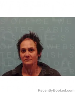 Mugshot of JULIANNE DANAE GOODSON