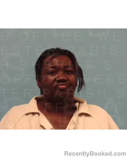 Mugshot of TONIKA TOMUN BURNS