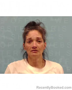 Mugshot of TONYA M CARROLL