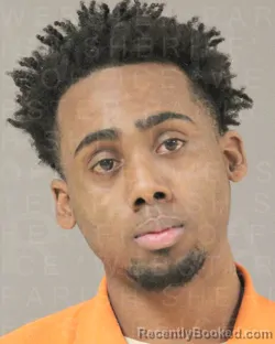Mugshot of KSHUNE MCGEE