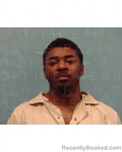 Mugshot of DARNELL BROWN