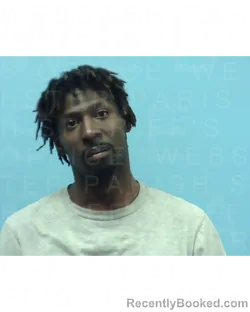 Booking photo from Webster Parrish, Louisiana