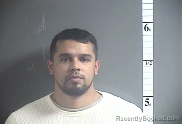 Mugshot of LUIS A VEGA