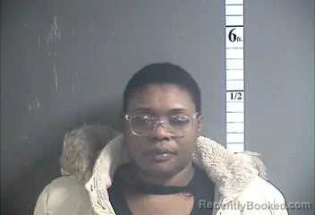 Mugshot of MELISSA DUMERJEAN