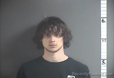 Mugshot of DALTON DIMATTEO
