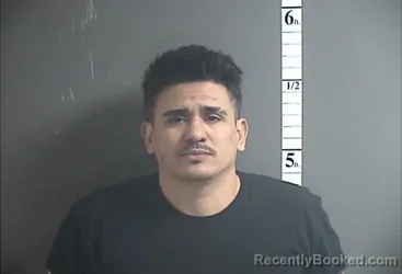 Mugshot of JOSE JR PAZ