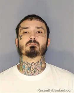 Mugshot of DOMINIC TARTAGLIA
