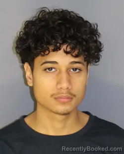 Mugshot of JAEL PIZANO