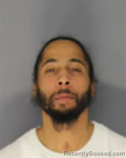 Mugshot of WALI R JOHNSON