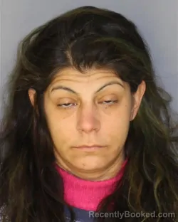 Mugshot of NICOLE WESNER