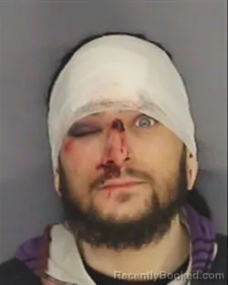 Mugshot of NICHOLAS PALUMBO