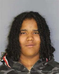 Booking photo from Essex County, New Jersey