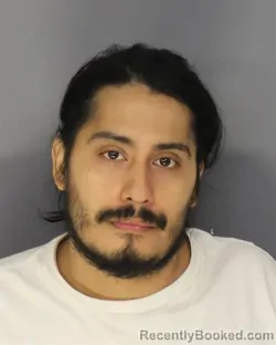 Booking photo from Essex County, New Jersey