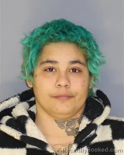 Mugshot of SHAYRA BENITO