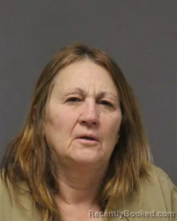 Mugshot of LISA ANN FICHTER