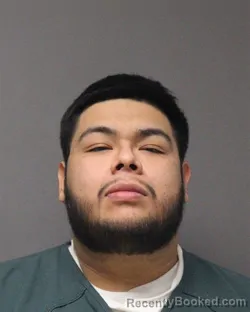 Mugshot of LUIZ PABLO VARGAS