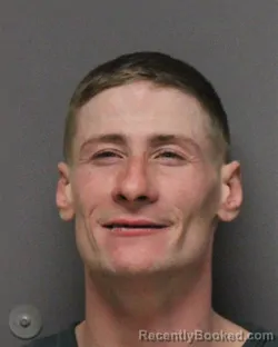 Mugshot of MICHAEL E WEGEMAN