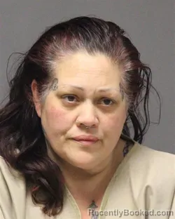 Mugshot of ERIN NOELE BOZETH