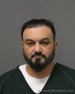 Mugshot of FLORIN BERKI