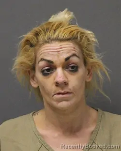 Mugshot of HELENE ANN COYLE
