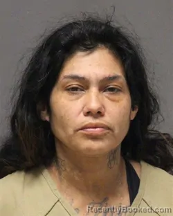 Mugshot of LILLIAM MARITZA HERNANDEZ