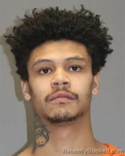 Mugshot of ELIJAH F HYATT