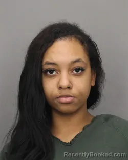 Mugshot of VIOLA J RAWLINS