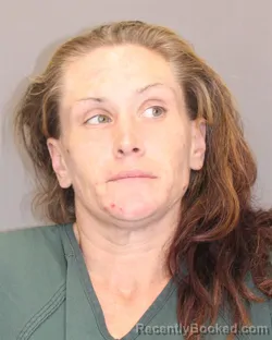 Mugshot of ELAINE M YATES