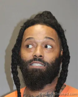 Mugshot of DUANE S WILLIAMS