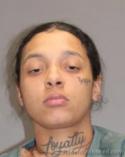 Mugshot of FRANCESCA D BLANTON