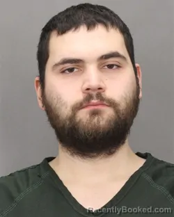 Mugshot of VINCENT J DOLENTE