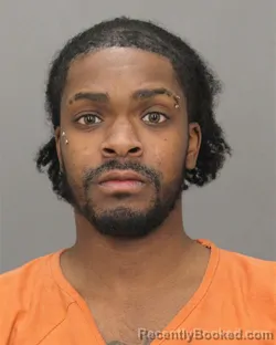Mugshot of LEAQUAN D JAMES