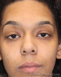 Mugshot of ALAYJA Y WILLIAMS