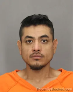 Mugshot of IVAN RAMIREZ PATLAN