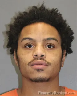 Mugshot of HESTOR MCKINNON