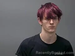 Mugshot of TANNER L SHEW