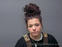 Mugshot of KAYLA N ANDERSON