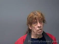 Mugshot of SCOTT D HOLM