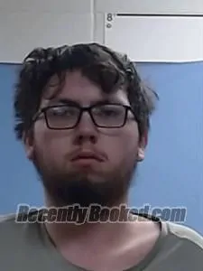 Booking photo from Boone County, Arkansas