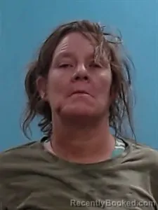 Mugshot of Erica June Watt
