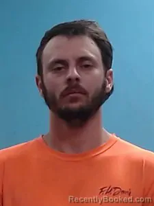 Mugshot of Anthony Lee Houk-Gardner