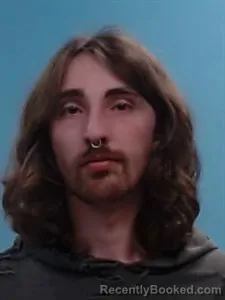 Booking photo from Boone County, Arkansas