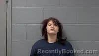Mugshot of ALLISON R BRINEY