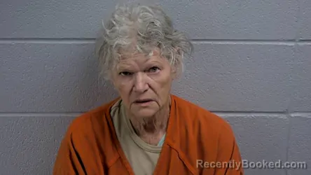 Mugshot of LISA H BROWN