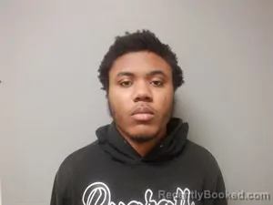 Mugshot of Lebron Damir Mhoon