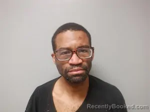 Mugshot of Theardise Kermit Lowman