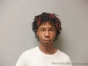 Mugshot of Jordan Cheatum Shivers