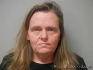 Mugshot of Jo Lynn Spitler