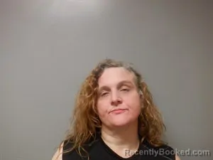 Mugshot of April Ann Johnson