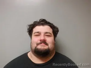 Mugshot of William Jonathan Bullard